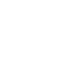 Responsible in Action